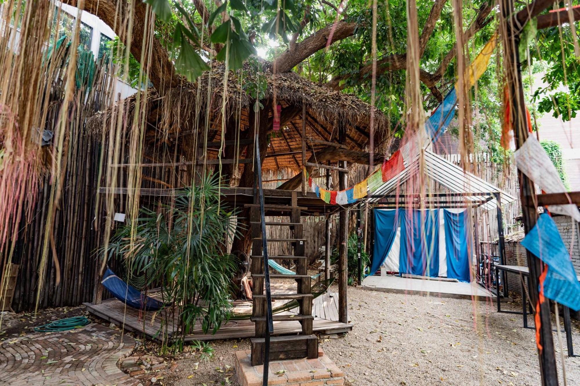 गेस्ट हाउस Mammoth Boutique